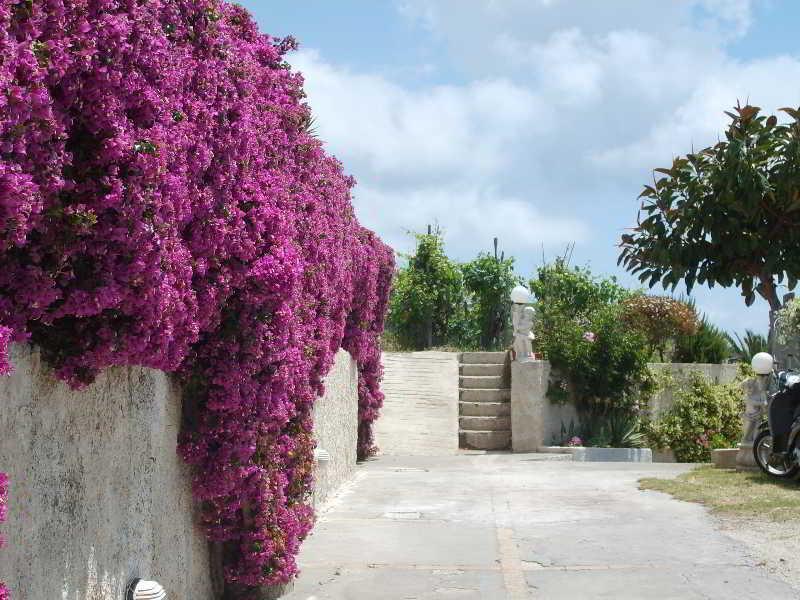 Villa Natalina Forio di Ischia エクステリア 写真